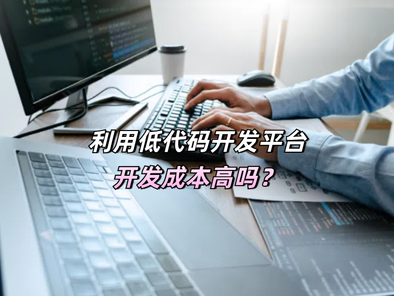 低代碼開發(fā)成本
